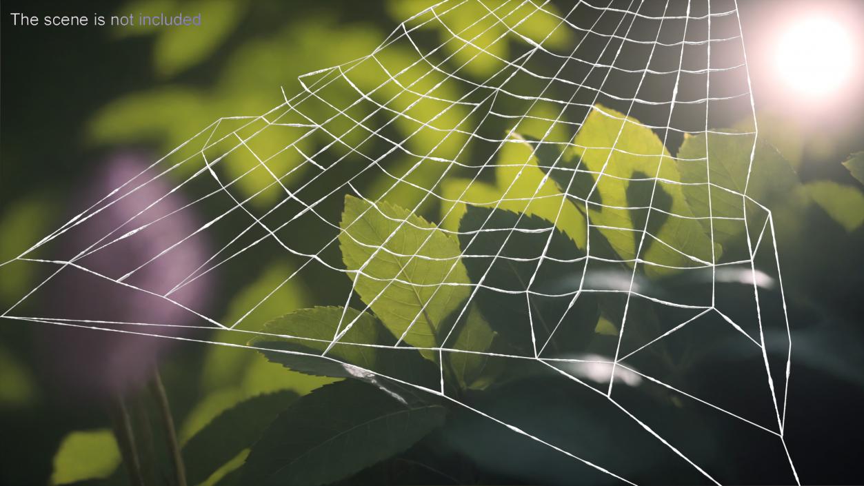 Spider Webs Collection 2 3D model