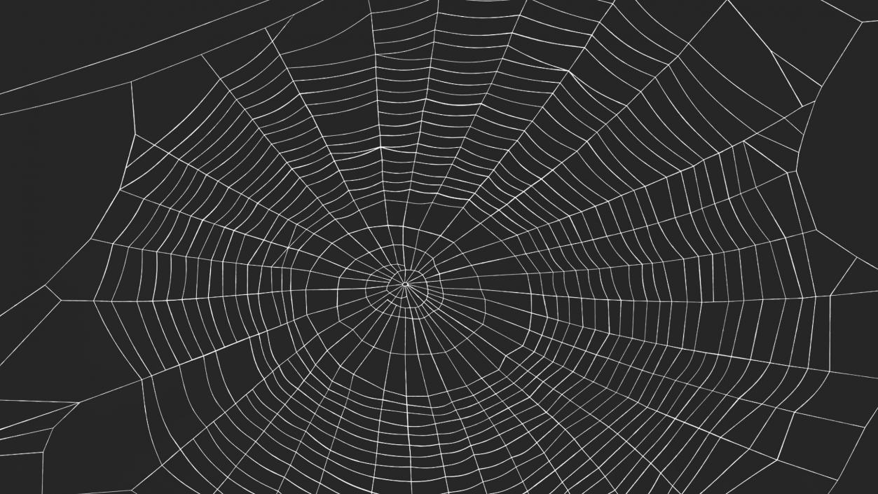 Spider Webs Collection 2 3D model