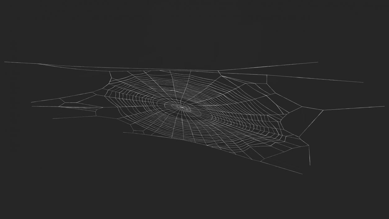 Spider Webs Collection 2 3D model