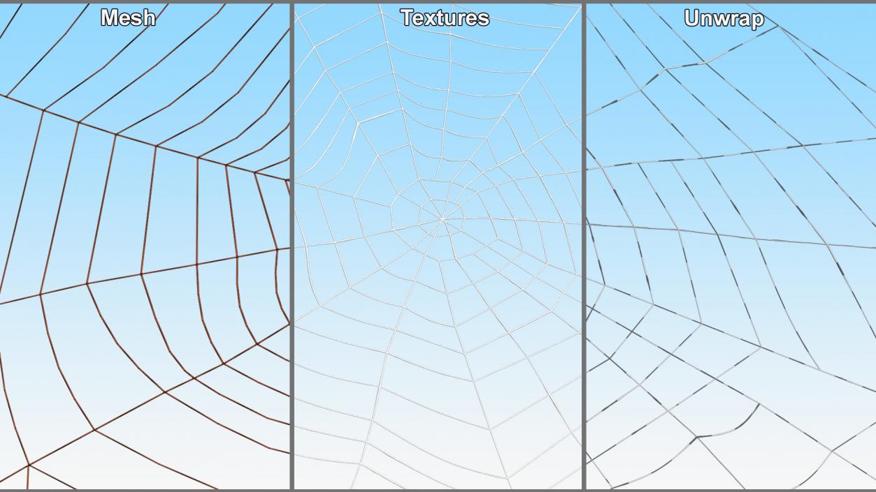 Spider Webs Collection 2 3D model