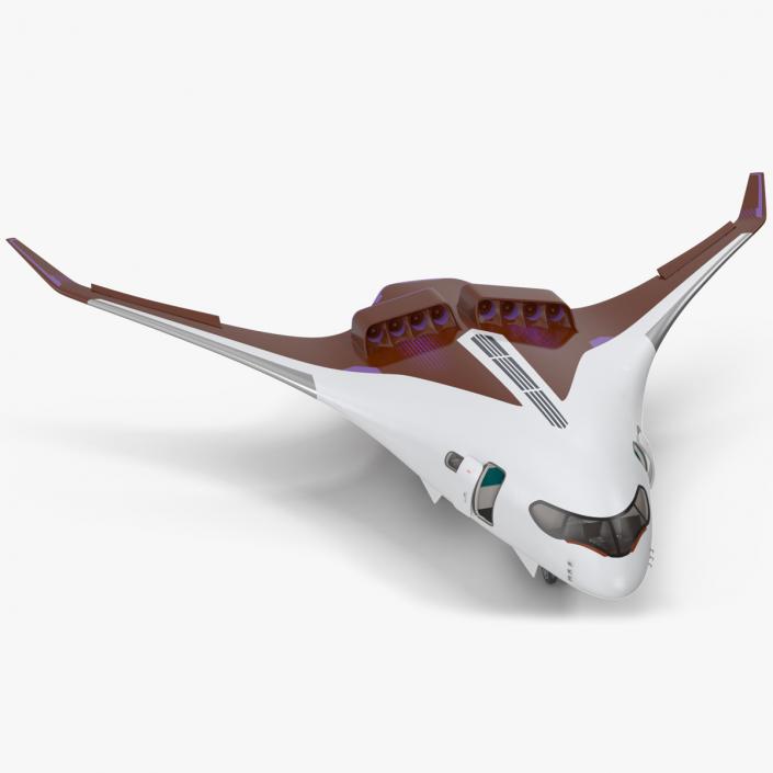 3D Ecological Aircraft Blended-Wing Body Rigged for Maya model