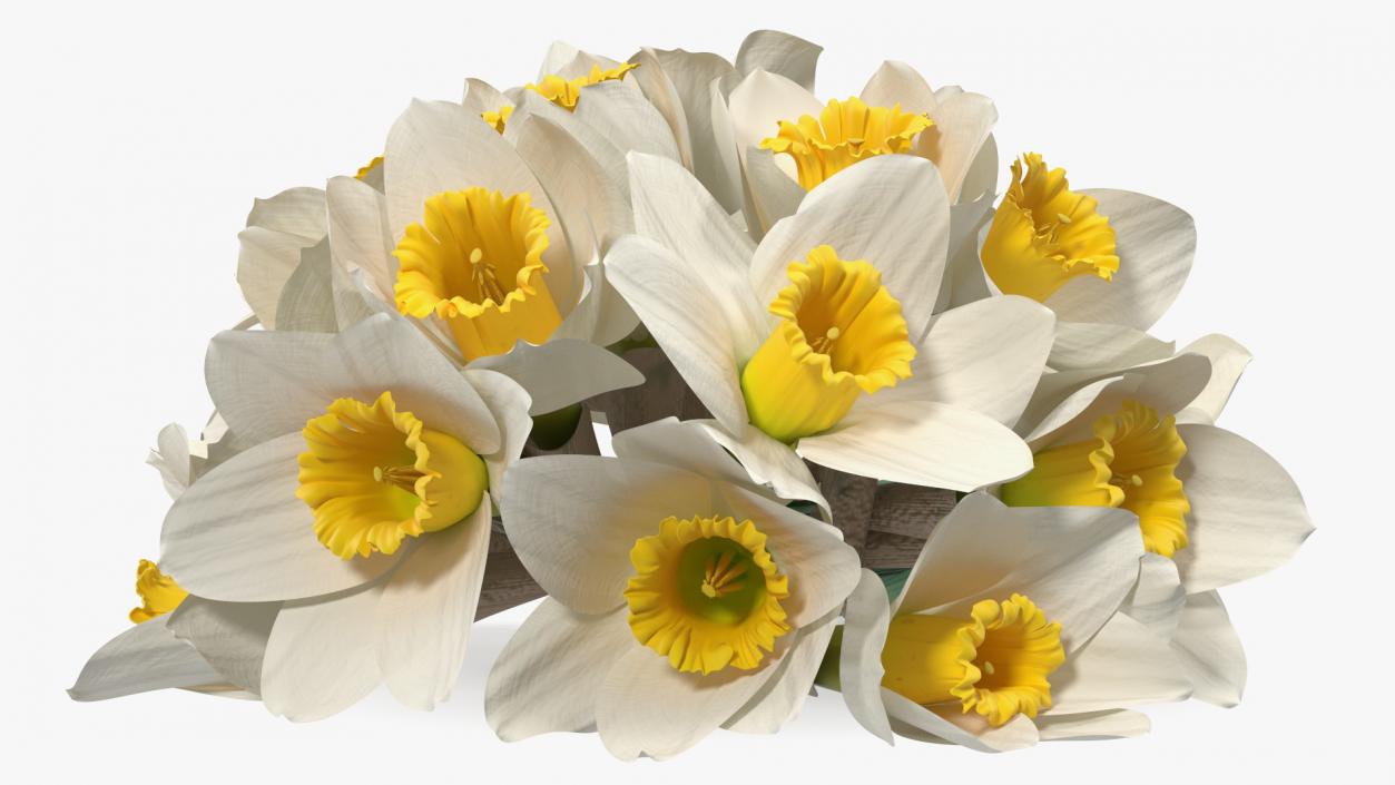 3D White Jonquil Bouquet