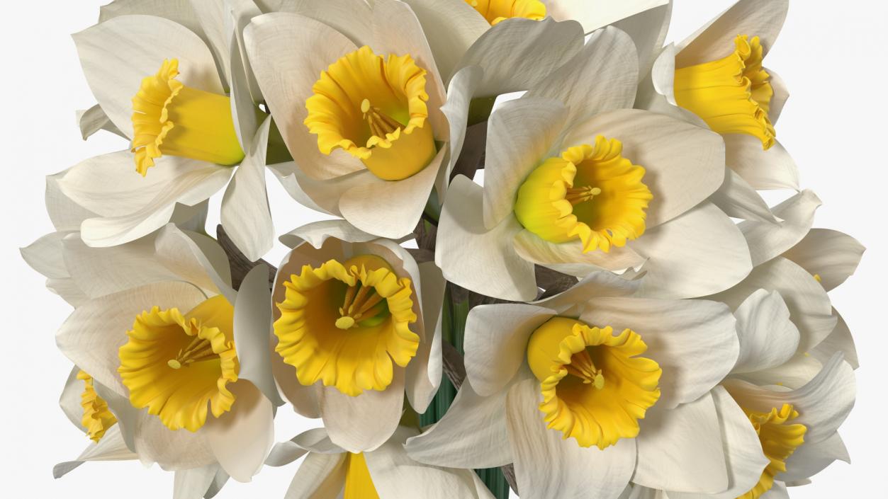 3D White Jonquil Bouquet