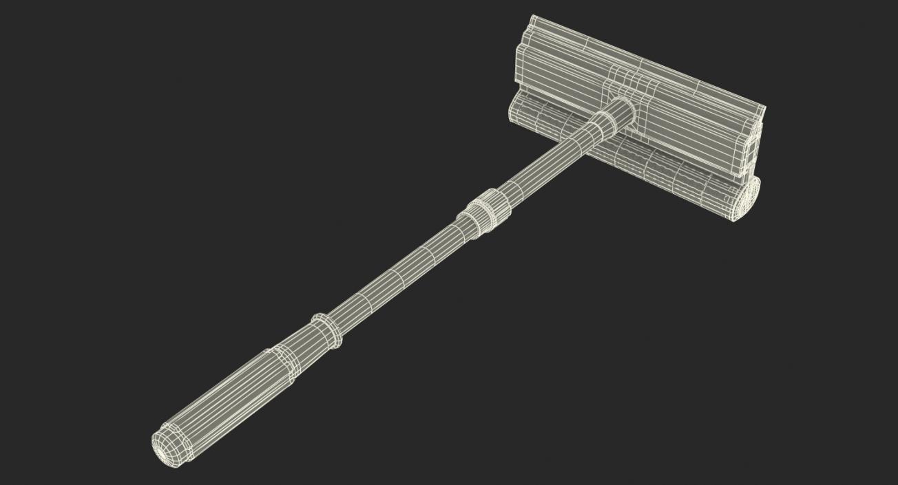 3D Auto Squeegee model