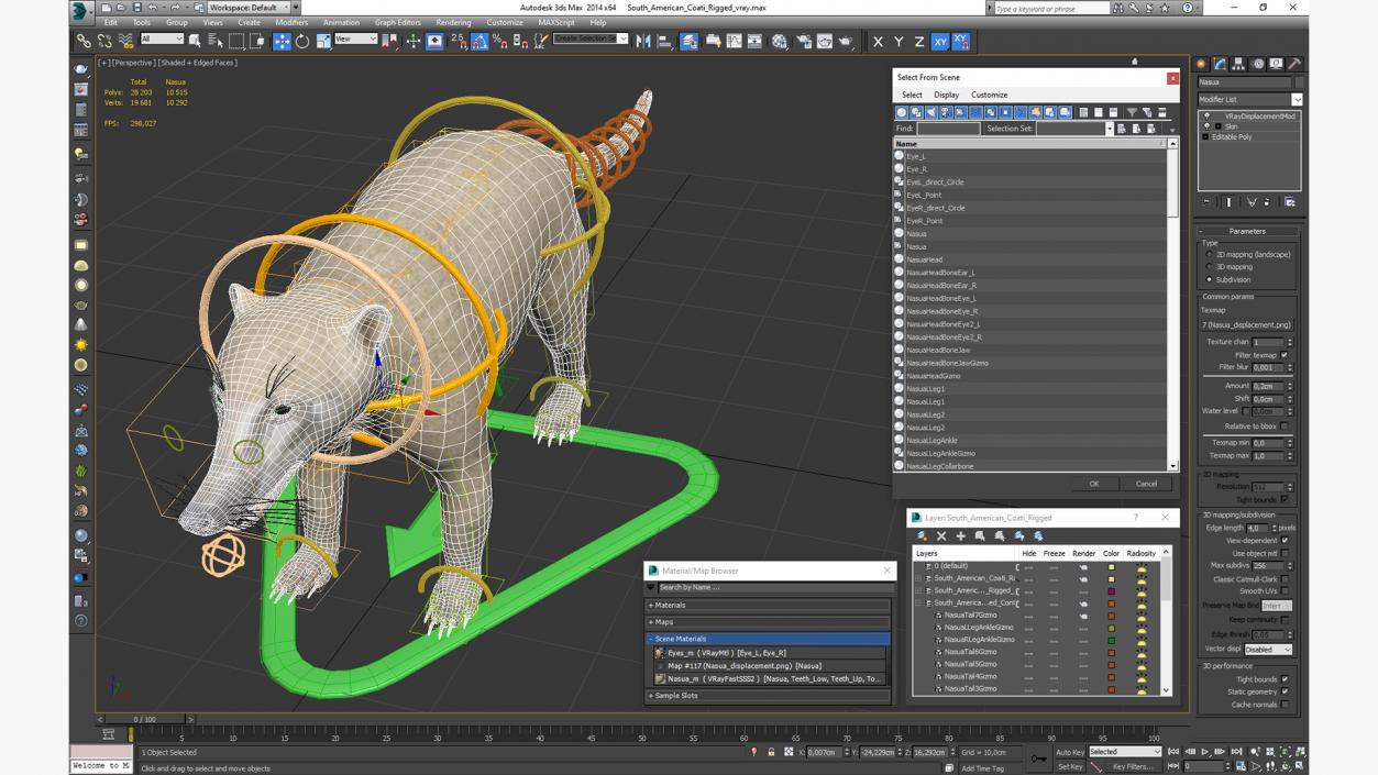 South American Coati Rigged 3D