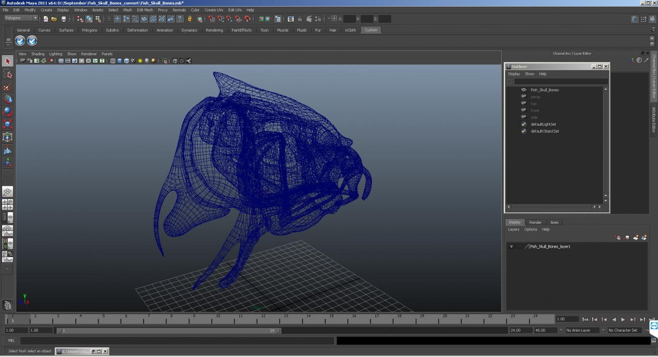 3D Fish Skull Bones