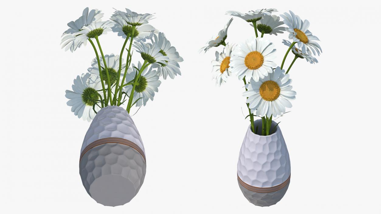 3D Bouquet of Chamomile Flowers in Vase