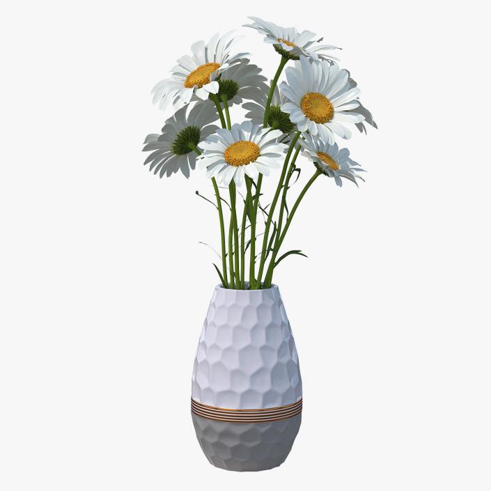 3D Bouquet of Chamomile Flowers in Vase