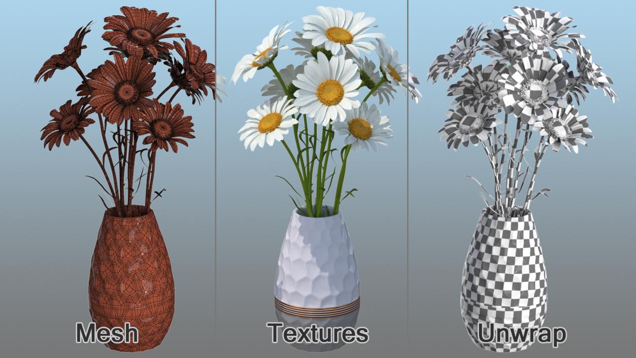 3D Bouquet of Chamomile Flowers in Vase