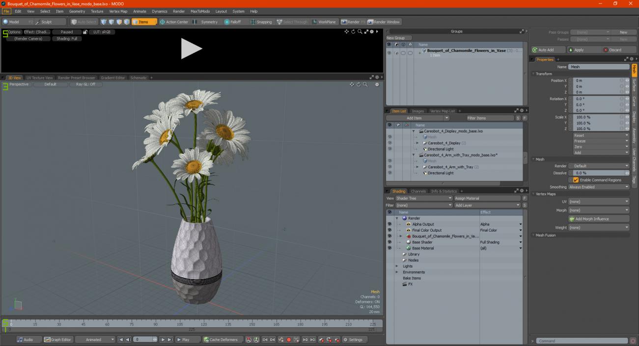 3D Bouquet of Chamomile Flowers in Vase