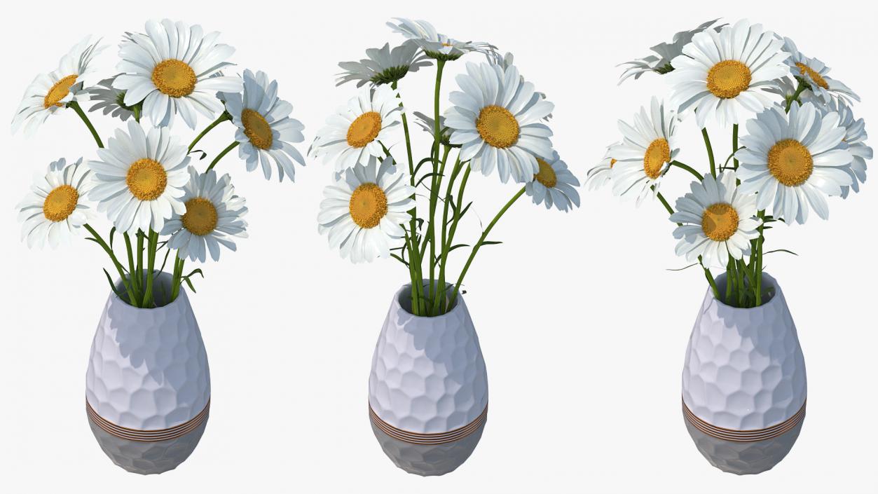 3D Bouquet of Chamomile Flowers in Vase