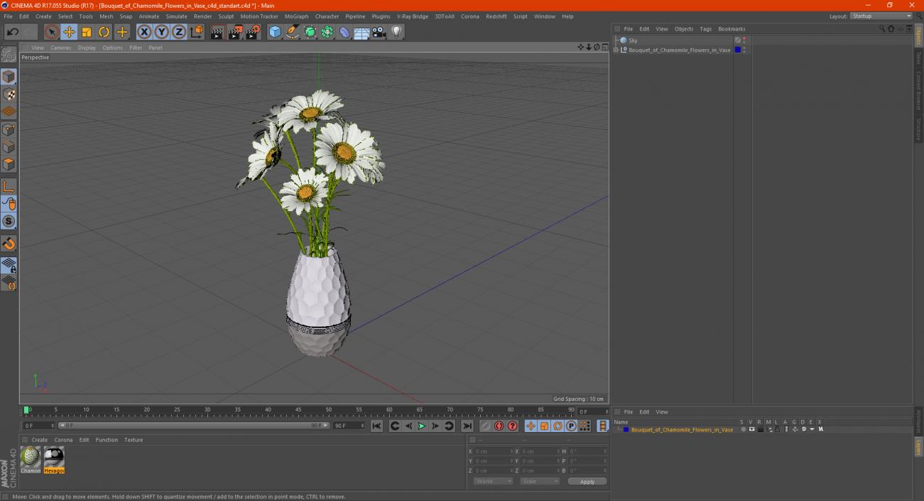 3D Bouquet of Chamomile Flowers in Vase