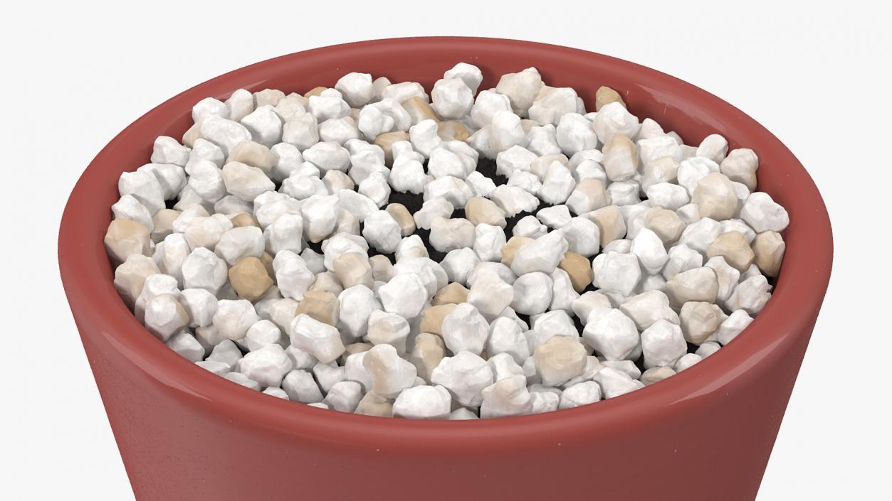 3D model Plant Pot Covered with Pebbles