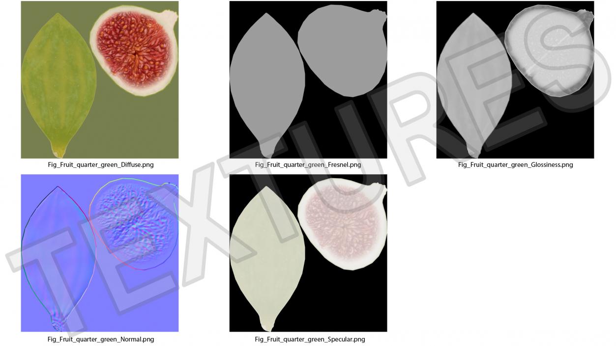 3D Green Fig Fruit Quarter model