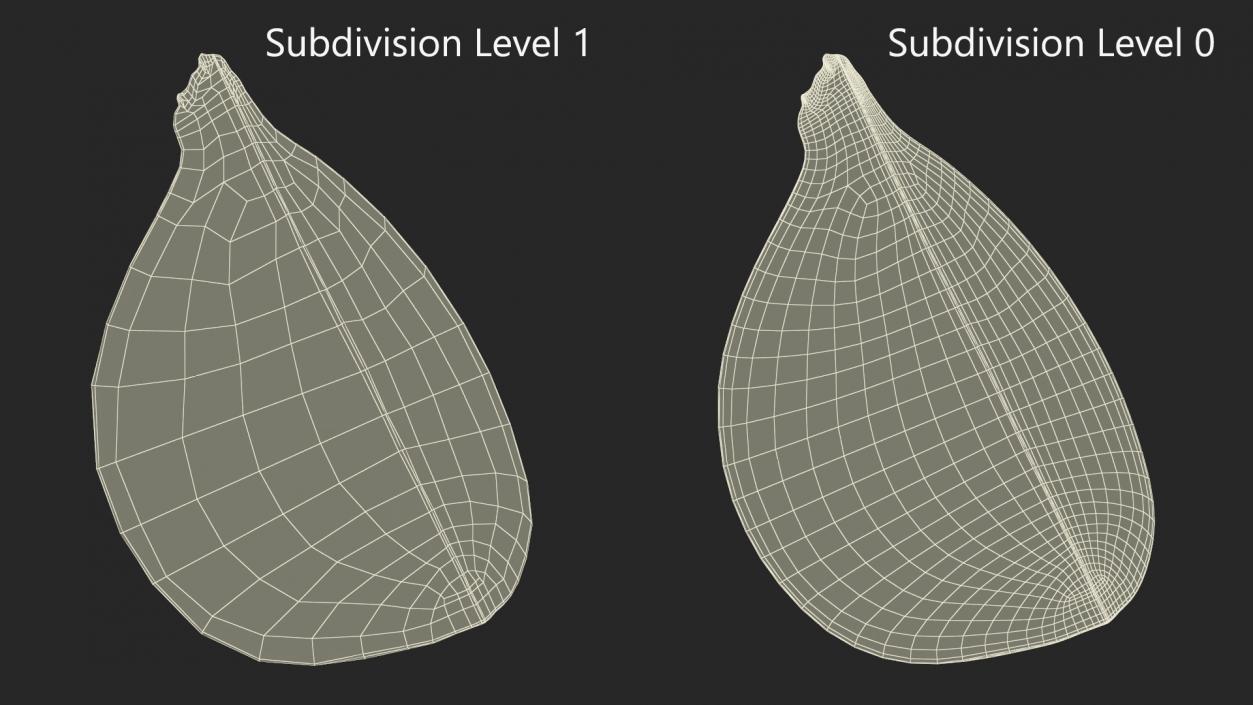 3D Green Fig Fruit Quarter model