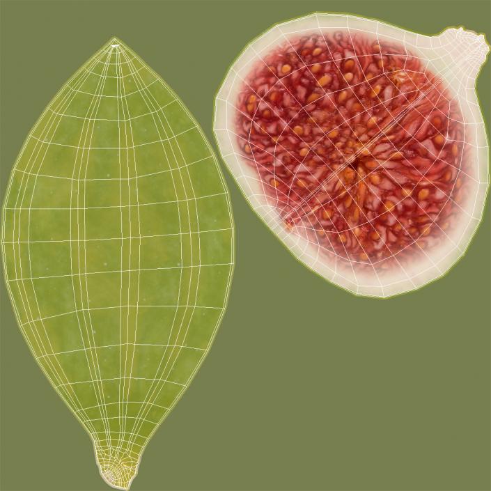 3D Green Fig Fruit Quarter model