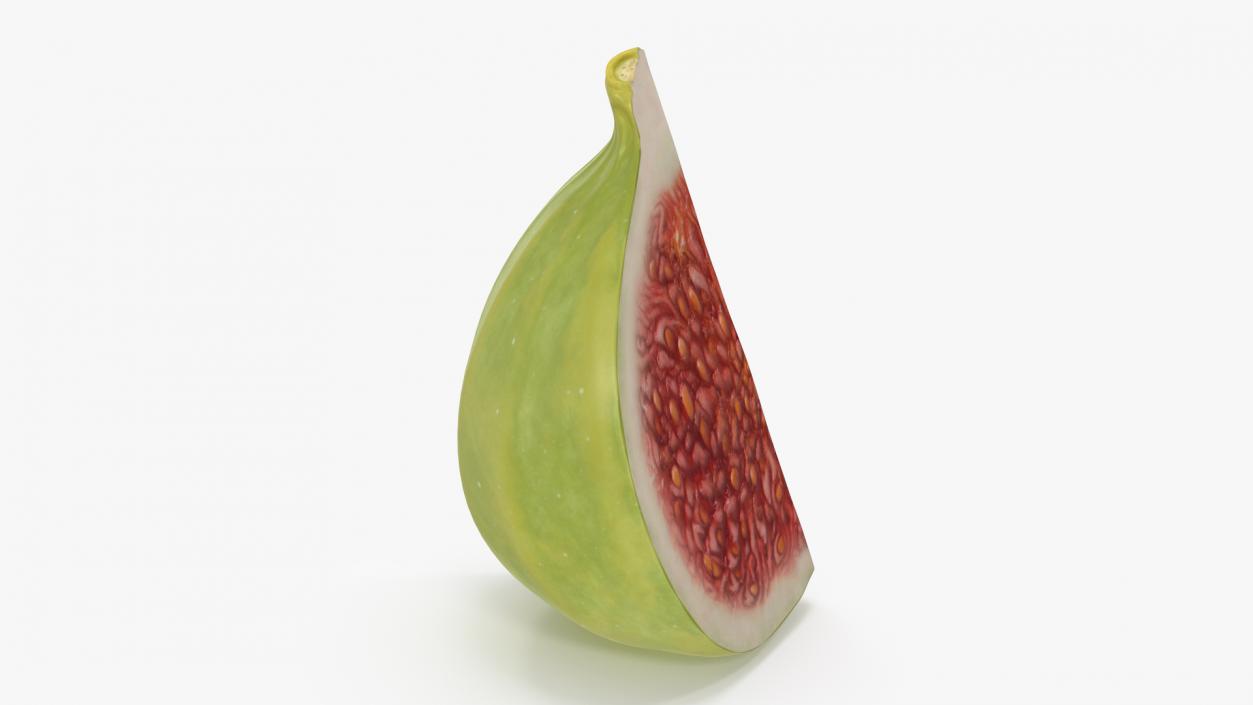 3D Green Fig Fruit Quarter model