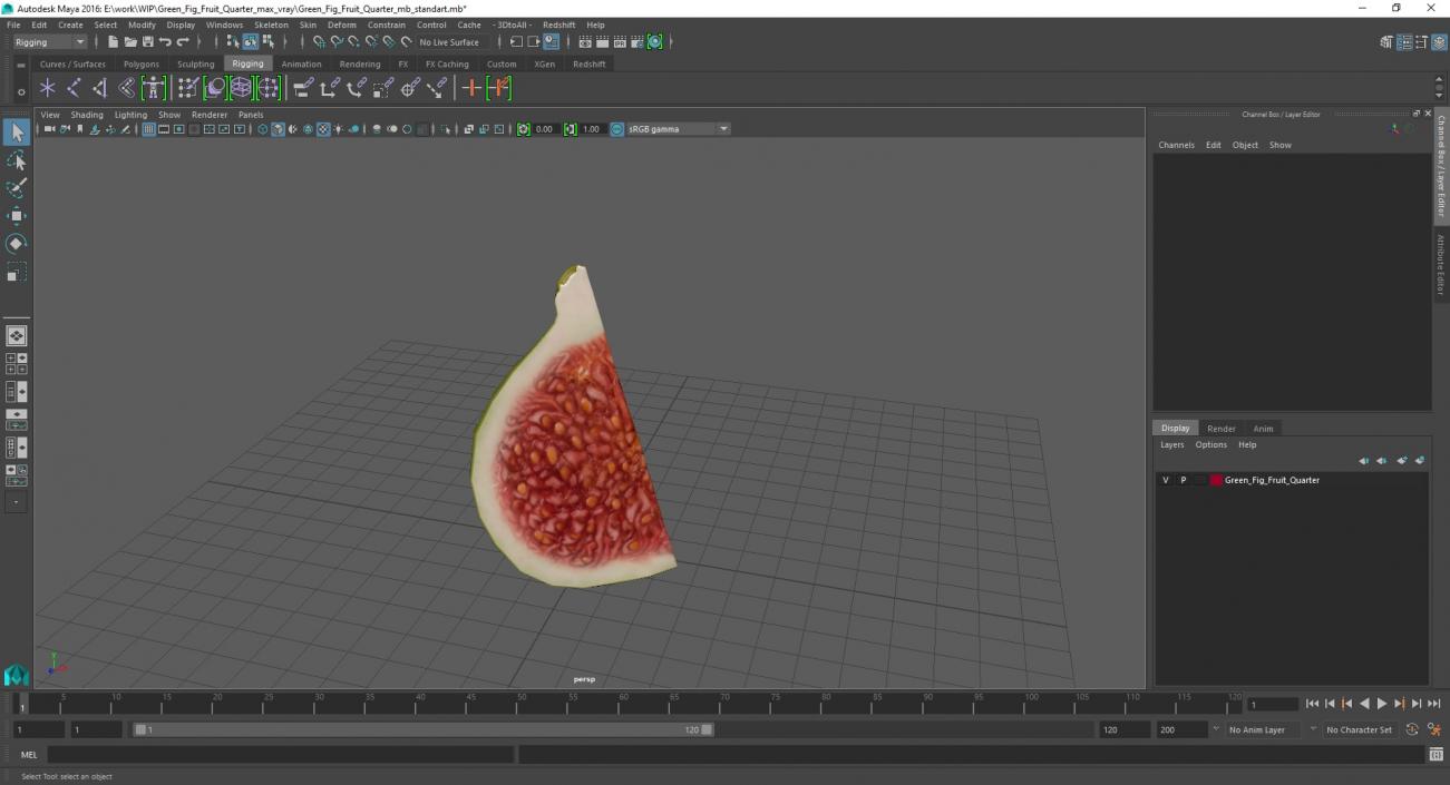 3D Green Fig Fruit Quarter model