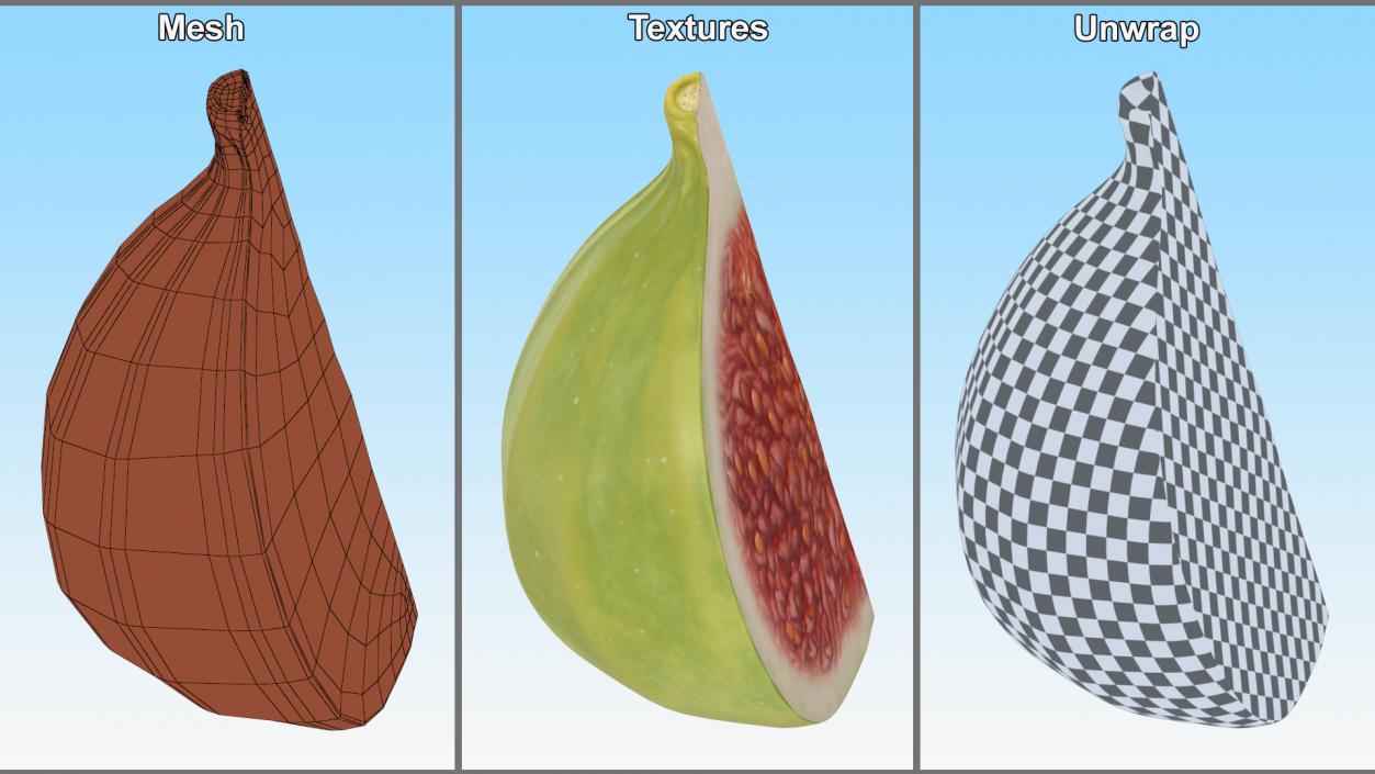 3D Green Fig Fruit Quarter model