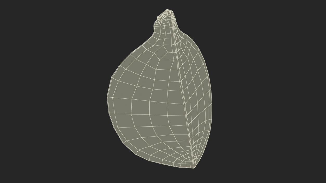 3D Green Fig Fruit Quarter model