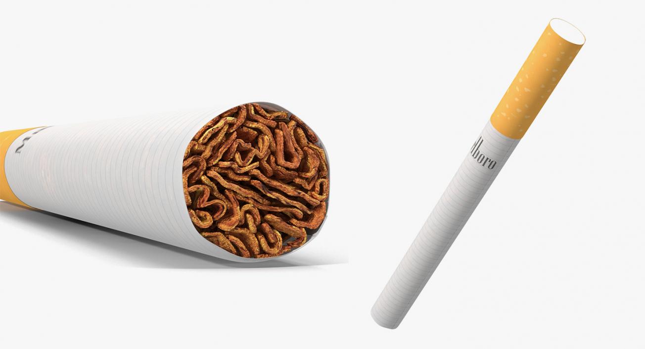 3D model Smoking Collection 4