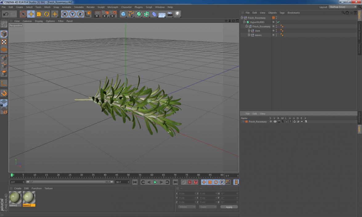 Fresh Rosemary 3D model