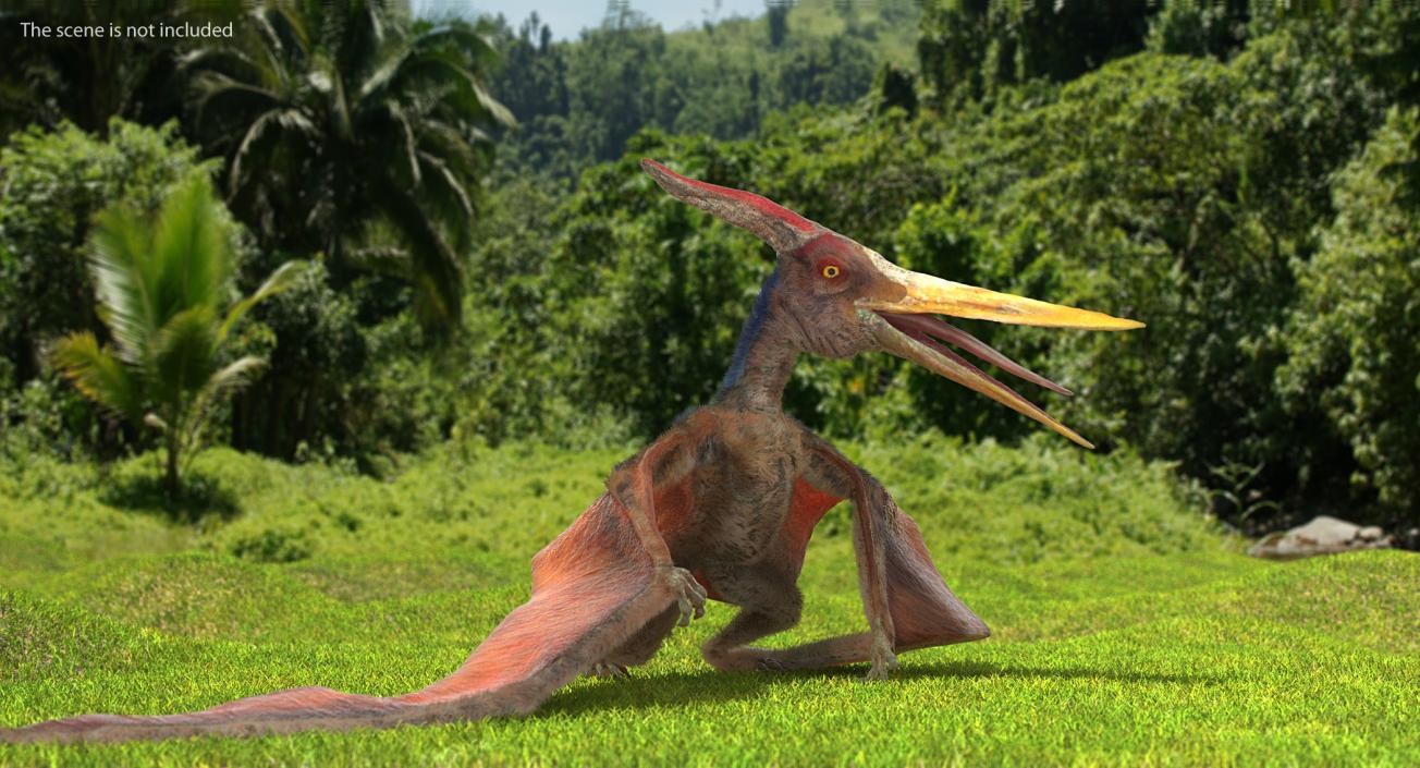 3D Pteranodon Standing Pose with Fur model