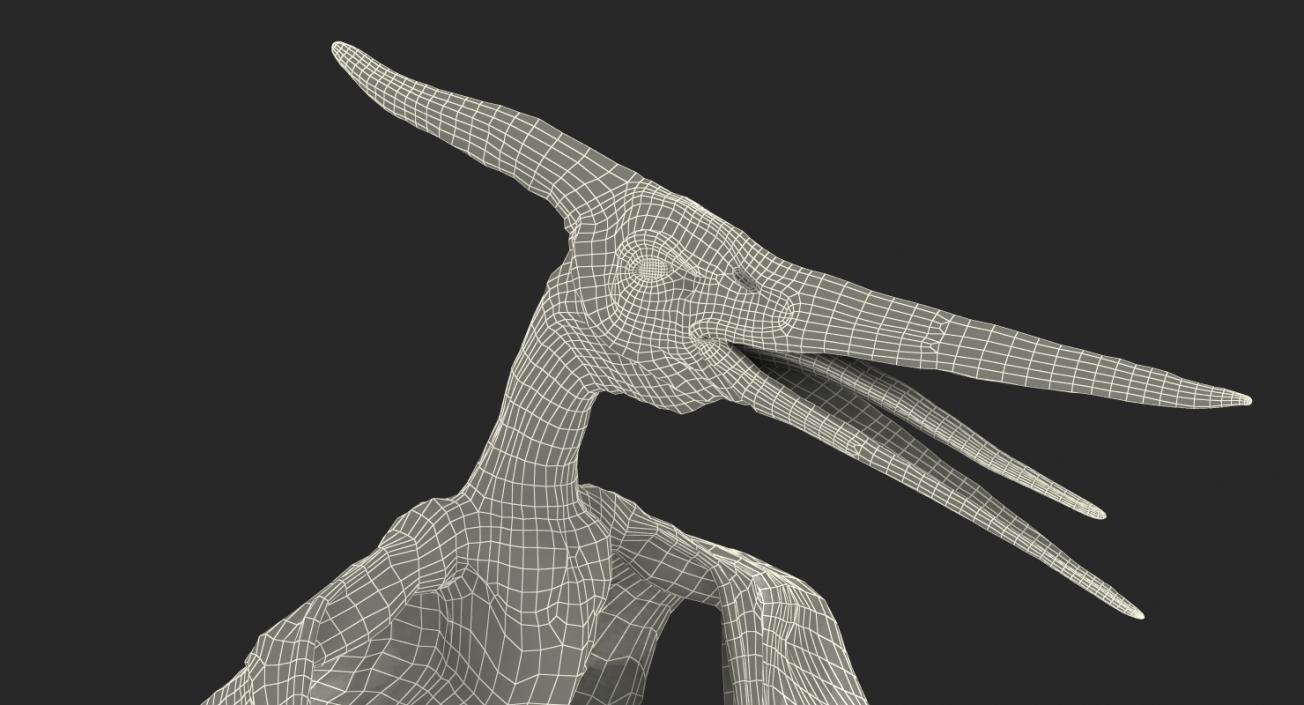 3D Pteranodon Standing Pose with Fur model