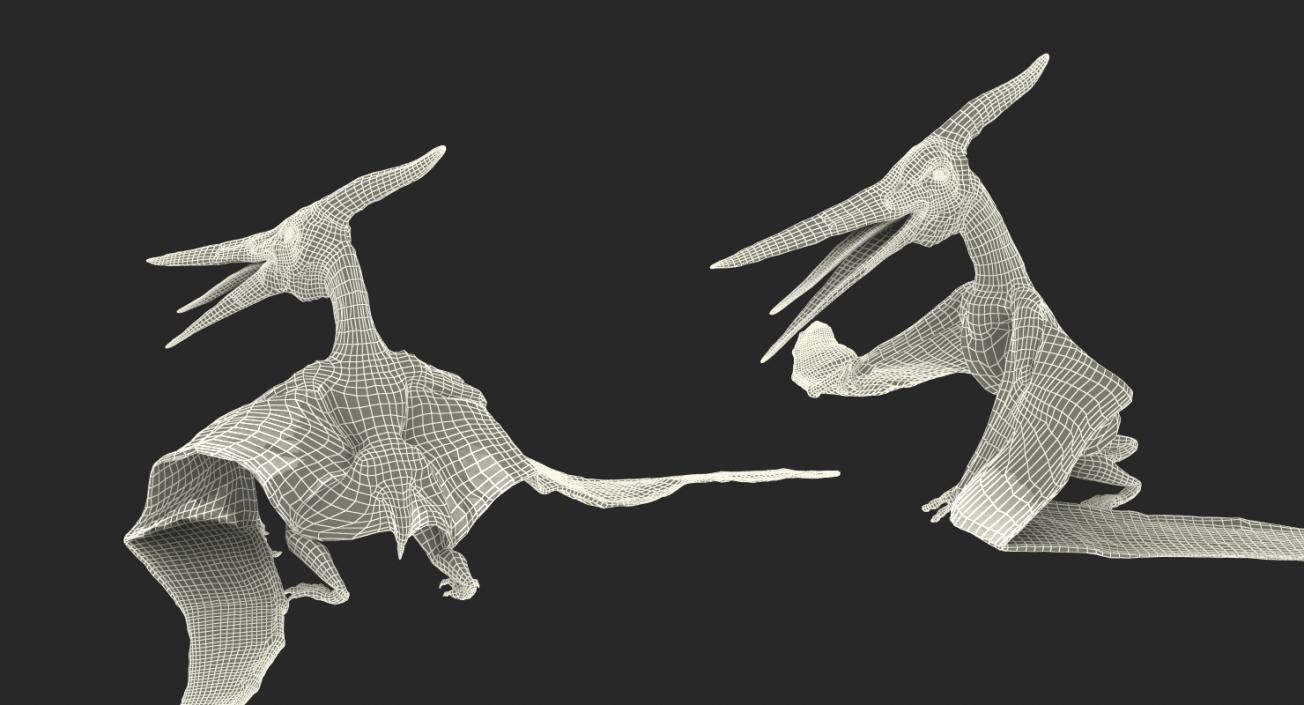 3D Pteranodon Standing Pose with Fur model