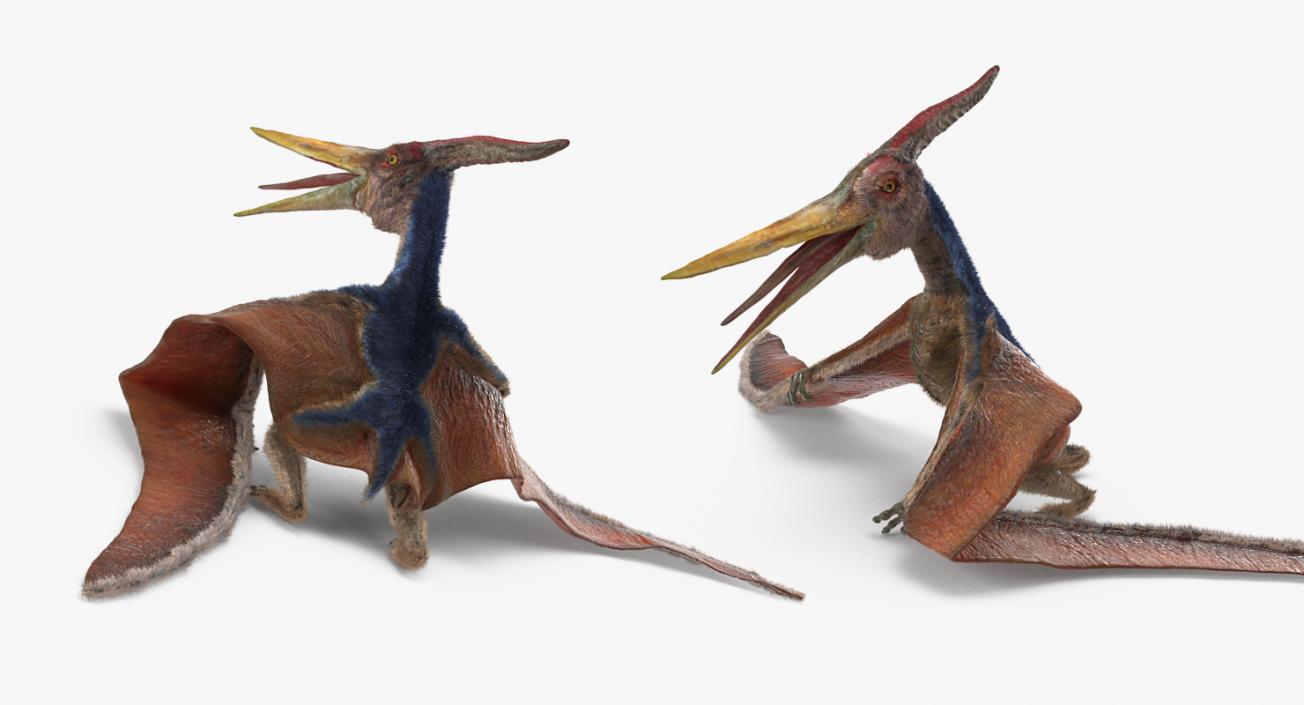 3D Pteranodon Standing Pose with Fur model