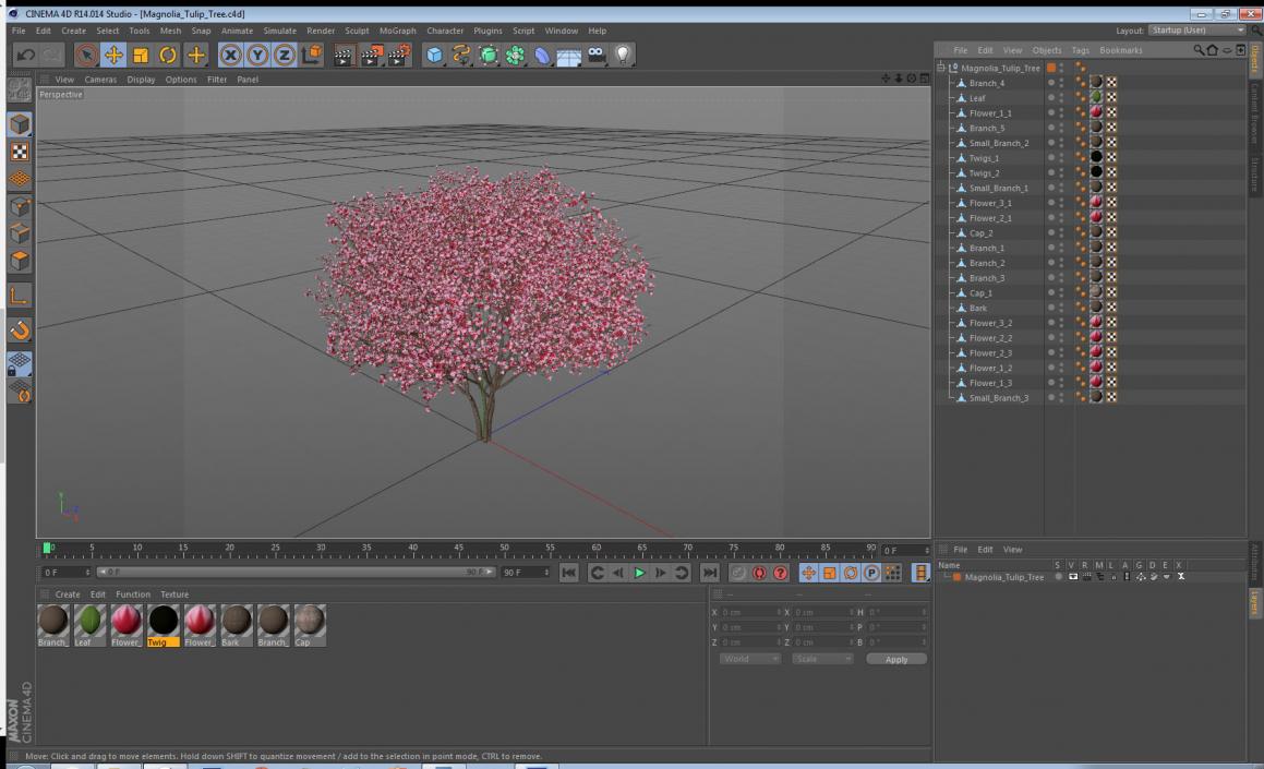 Magnolia Tulip Tree 3D model