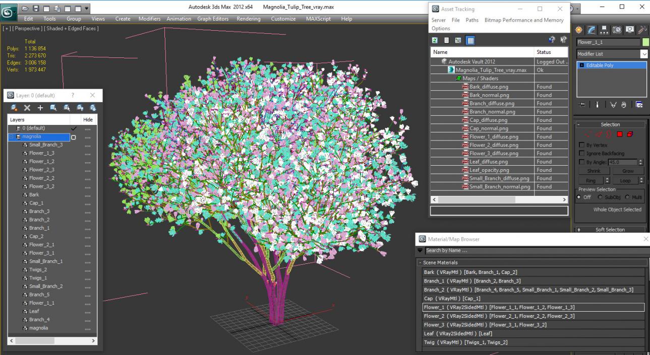 Magnolia Tulip Tree 3D model