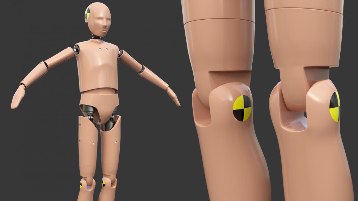 Teenager Crash Test Dummy Rigged 3D