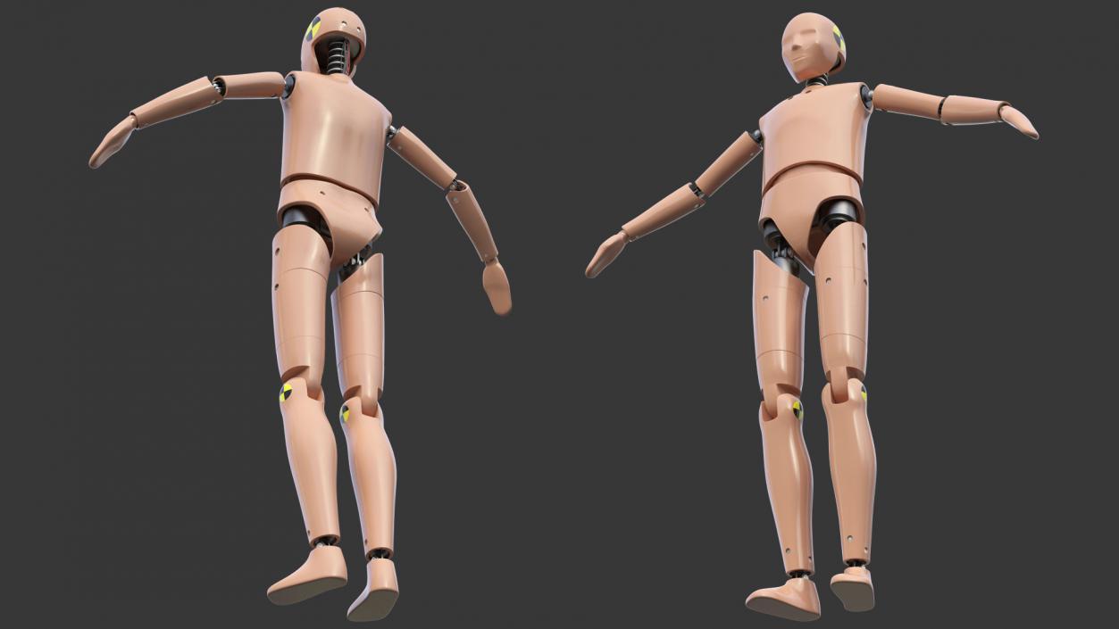 Teenager Crash Test Dummy Rigged 3D