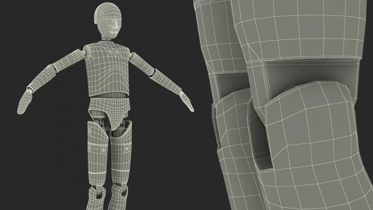 Teenager Crash Test Dummy Rigged 3D