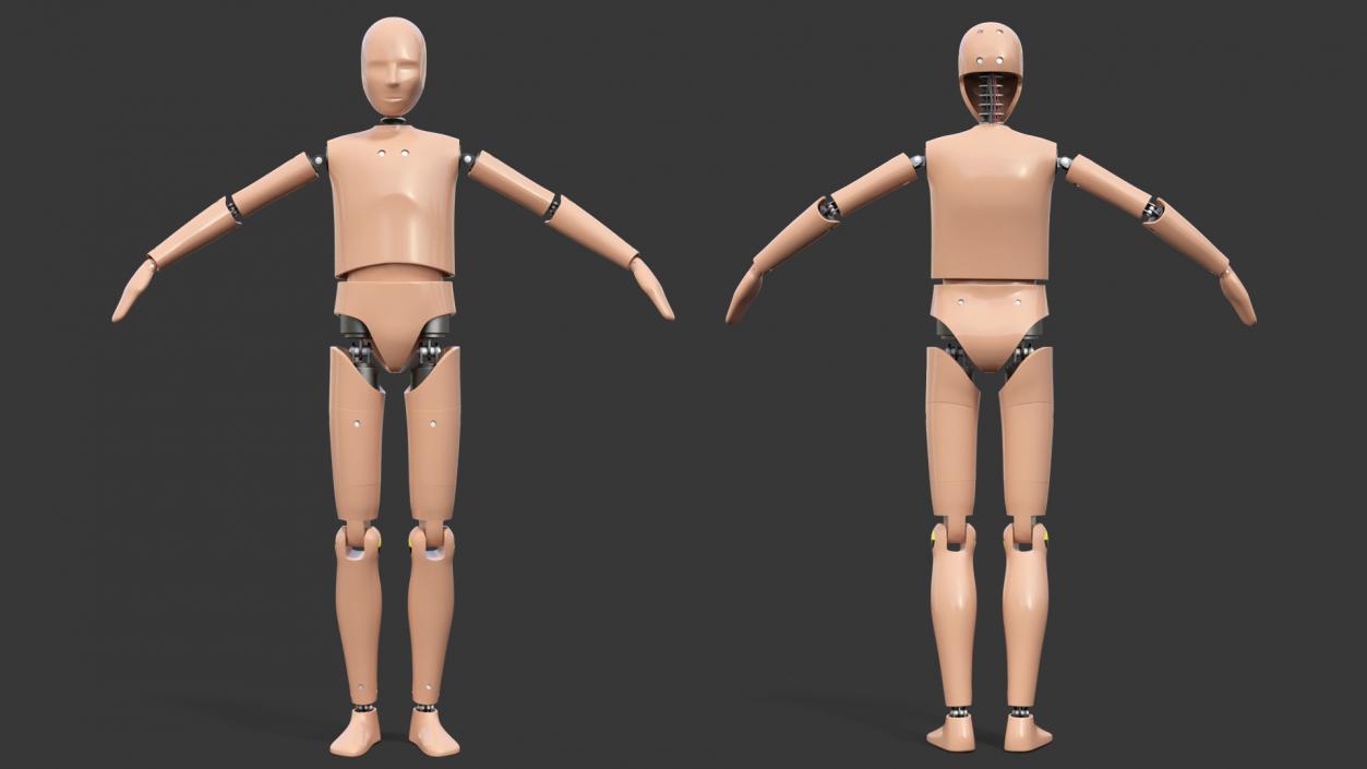 Teenager Crash Test Dummy Rigged 3D