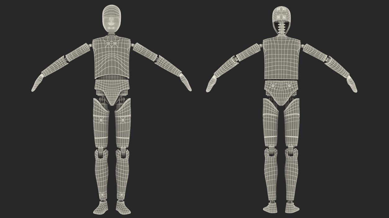 Teenager Crash Test Dummy Rigged 3D