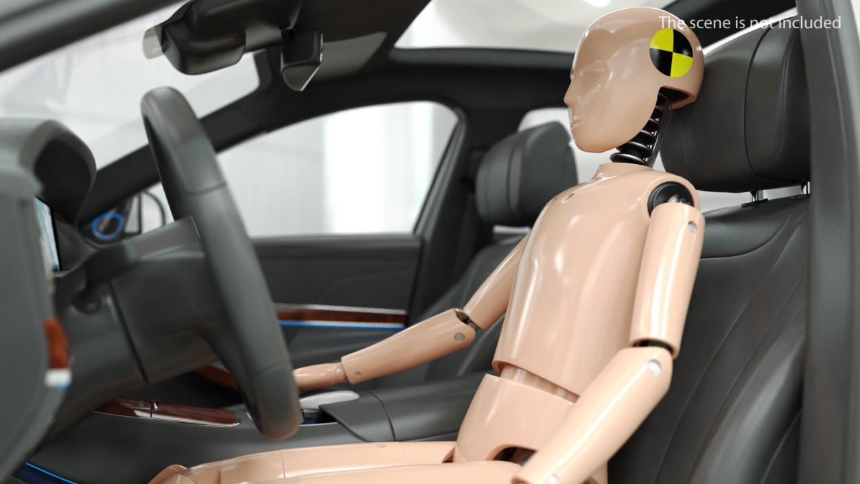 Teenager Crash Test Dummy Rigged 3D