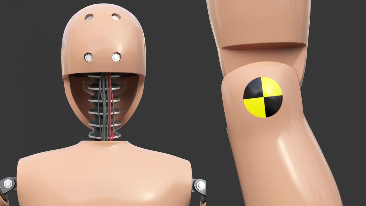 Teenager Crash Test Dummy Rigged 3D