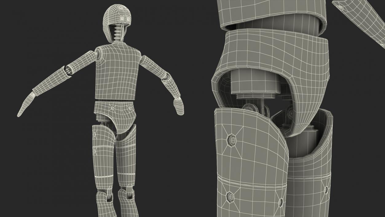 Teenager Crash Test Dummy Rigged 3D