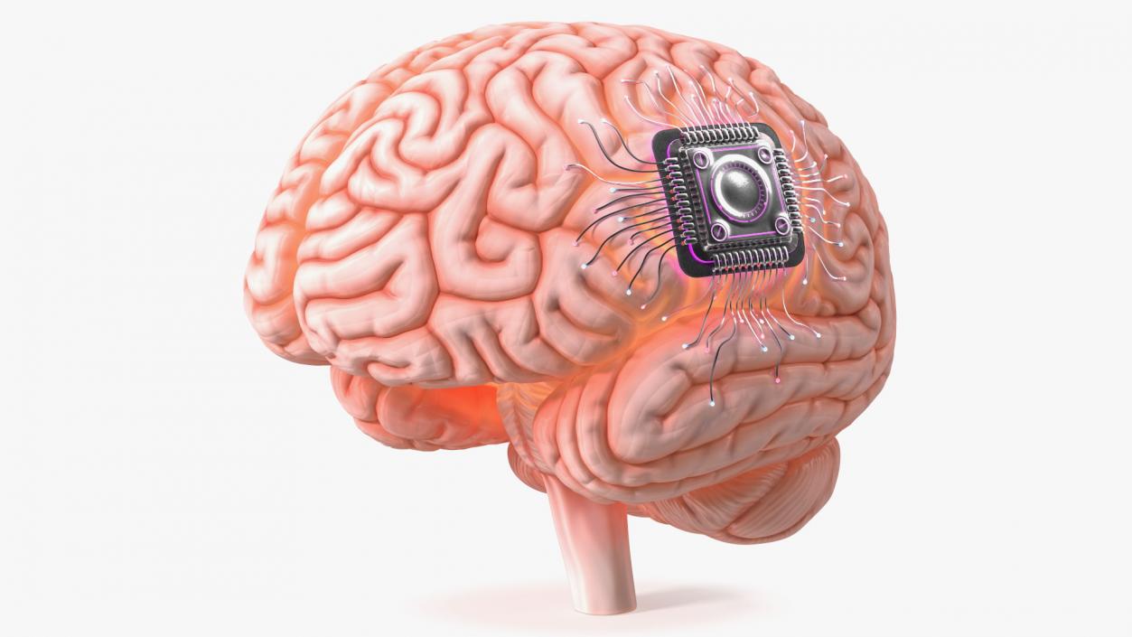 3D Human Brain With Implanted Microchip Lighted 2