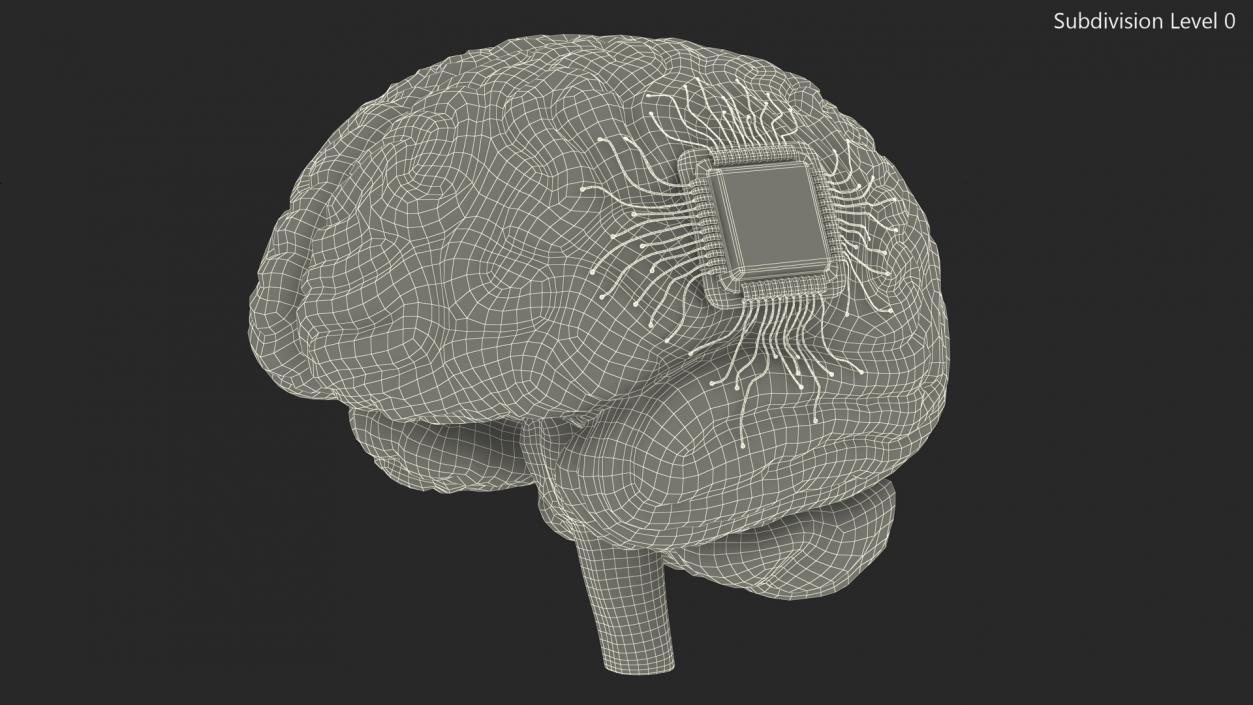 3D Human Brain With Implanted Microchip Lighted 2