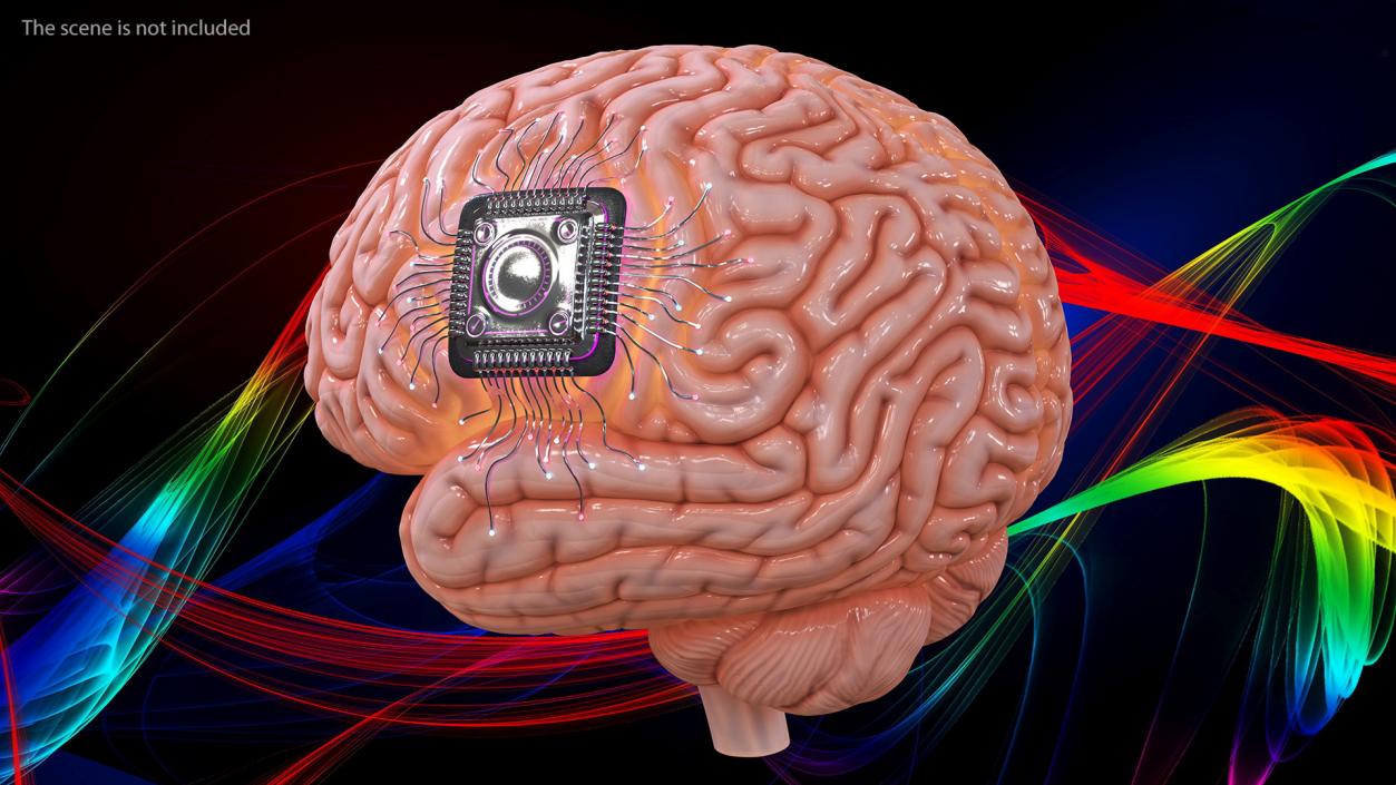 3D Human Brain With Implanted Microchip Lighted 2