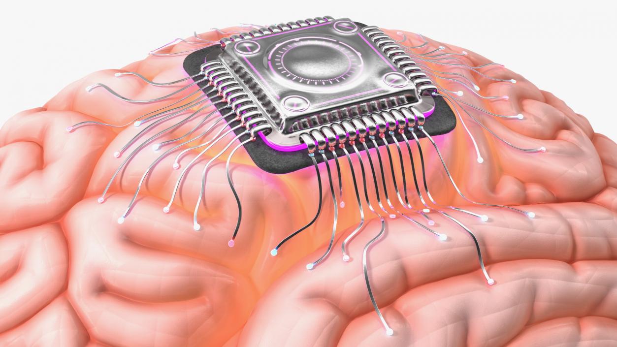 3D Human Brain With Implanted Microchip Lighted 2