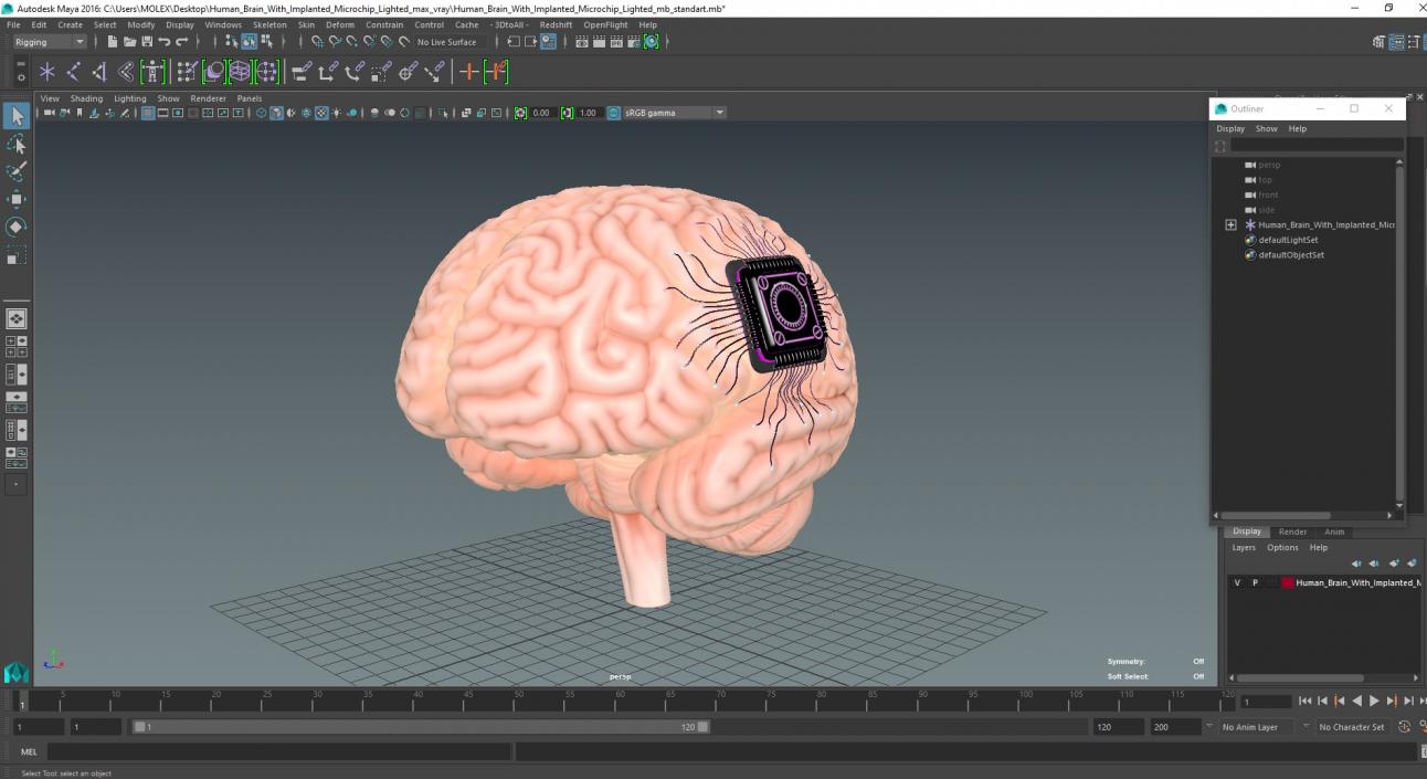 3D Human Brain With Implanted Microchip Lighted 2