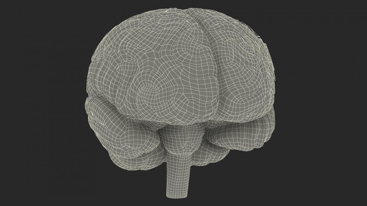 3D Human Brain With Implanted Microchip Lighted 2