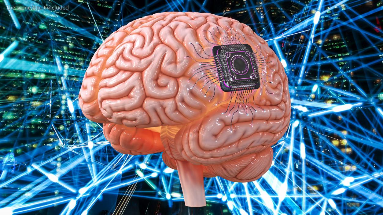 3D Human Brain With Implanted Microchip Lighted 2