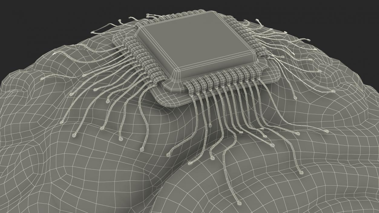 3D Human Brain With Implanted Microchip Lighted 2