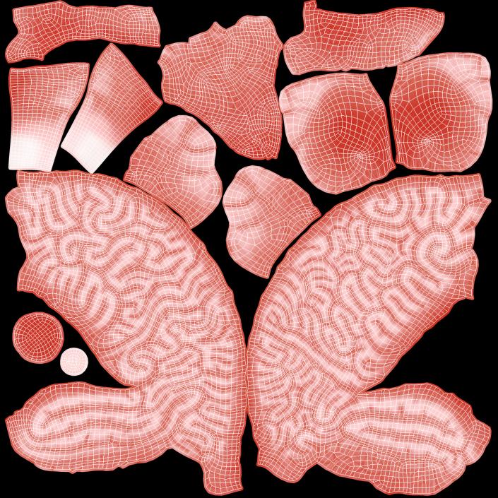 3D Human Brain With Implanted Microchip Lighted 2