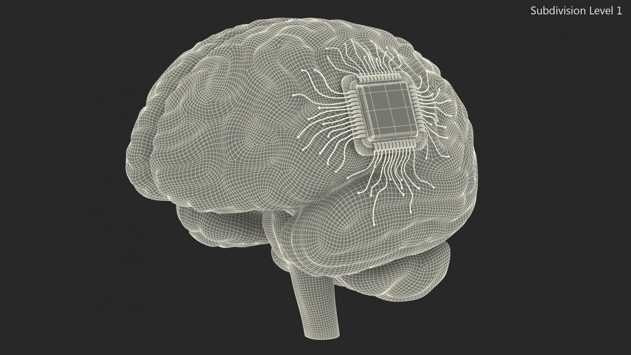 3D Human Brain With Implanted Microchip Lighted 2